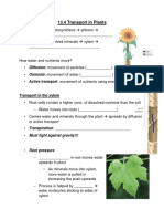 13.4 Transport in Plants - Student Sheet