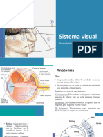 Sistema Visual