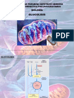 GLUCOLISIS