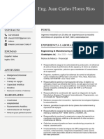 233 Curriculum Vitae Profesional para Trabajo