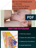 Materi Laktasi Germas 2018