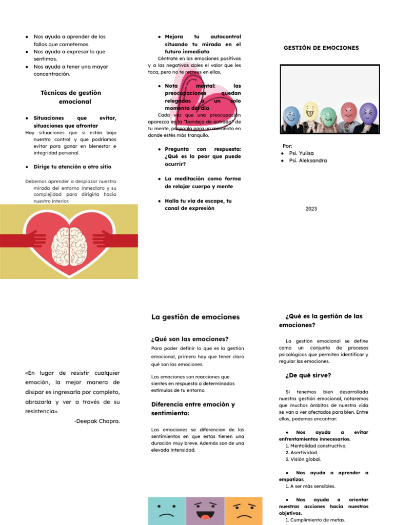 Técnicas para la Gestión Emocional | PDF | Las emociones | Mente