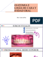 Anatomia e Histología de Cara y Cavidad Oral