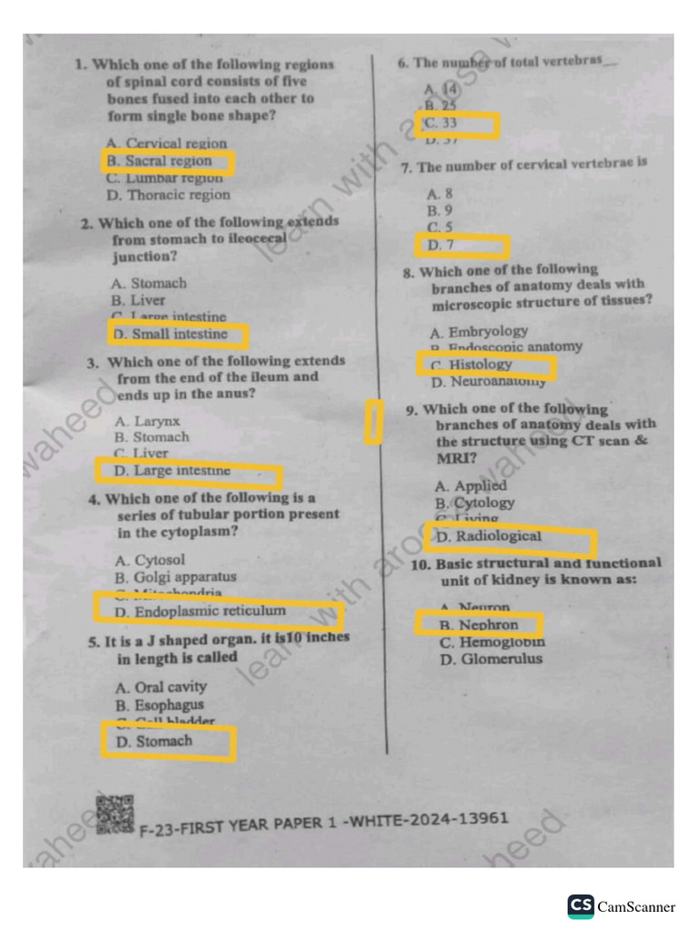 S1 January 2024 Paper 1 Nora Lorine