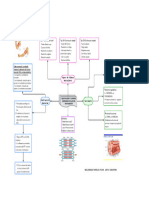 Fisiologia Del Eje - Diagrama Del Mov.