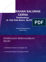 MPA Perdarahan Saluran Cerna Dan Mual Muntah Dr. Vidi SP - PD KGEH