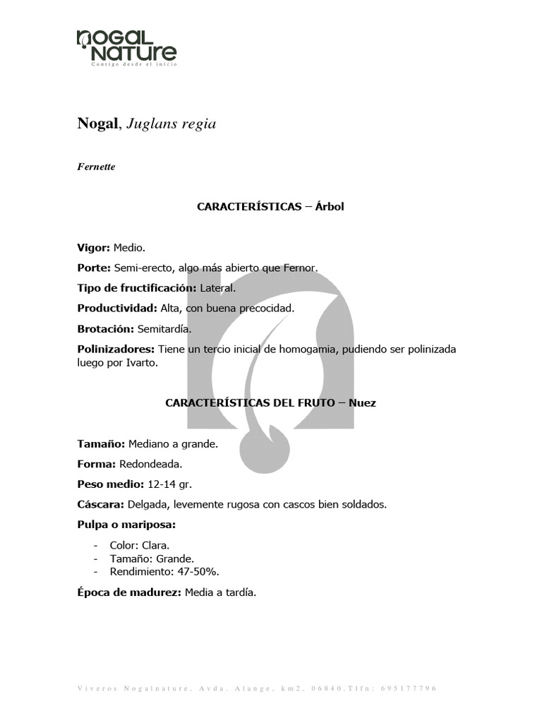 6 Ficha Tecnica Nogal Fernette | PDF
