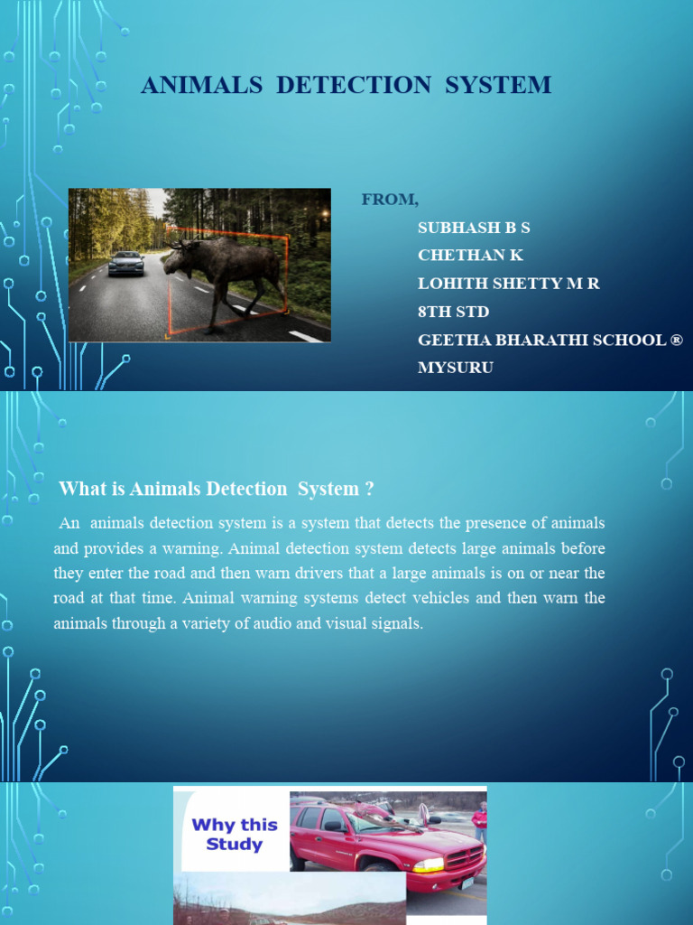 Animal Detection | PDF | Road | Conservation Biology