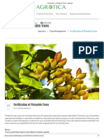 Fertilization of Pistachio Trees - Agrotica