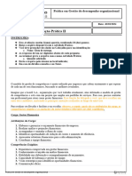 Atividade Prática II - Gestão Do Desempenho Organizacional