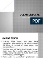 Ocean Disposal