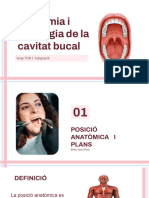 Anatomia I Patologia de La Cavitat Bucal