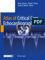 Atlas of Critical Care Echocardiography