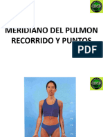 Pulmon