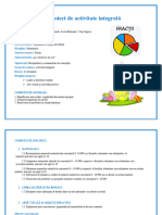 Matem PR Consolidare Fractii