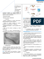 Sa - Infecto - Aula 2 - Leptospirose