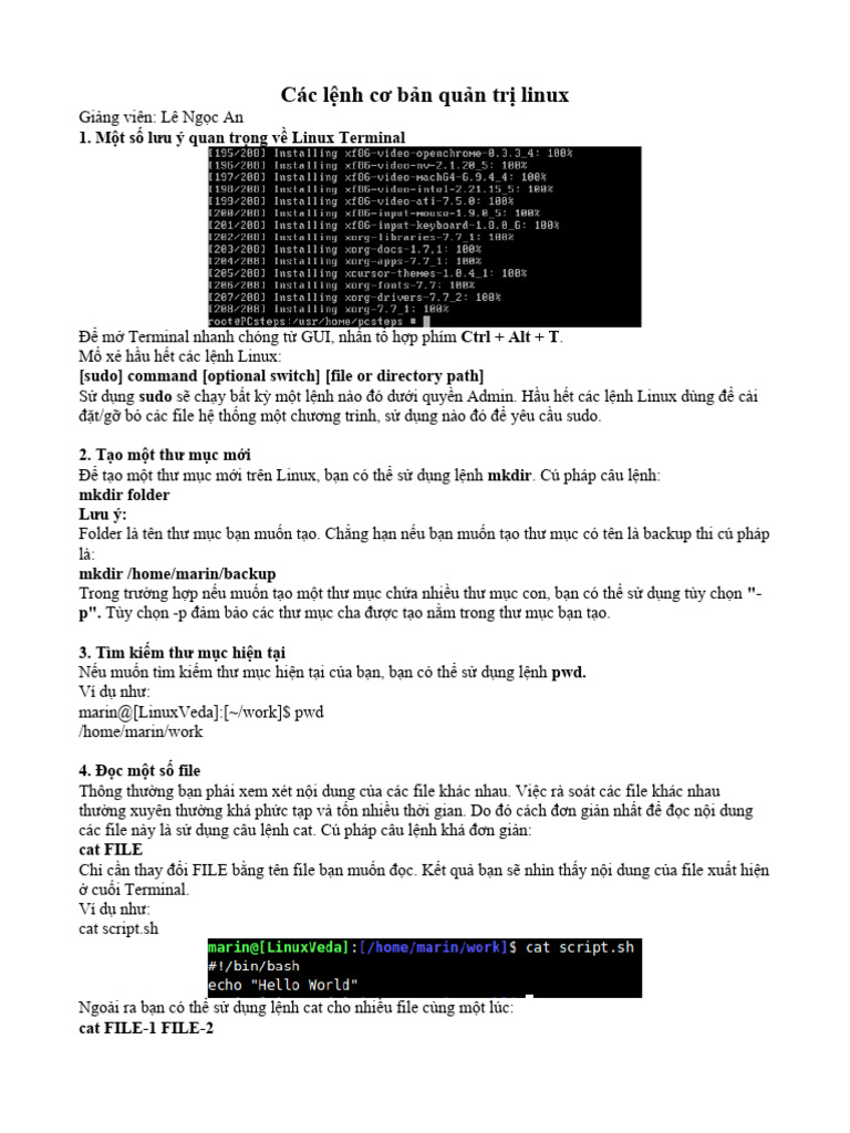 P1 bai 2 cac lenh co ban pdf
