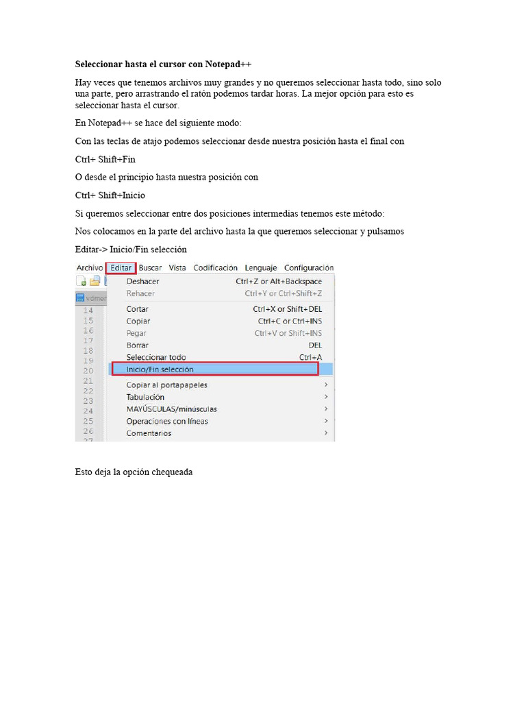 Seleccionar en Notepad++ | PDF