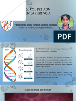 El Rol Del ADN en La Herencia