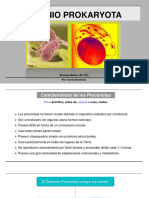 Tema 2.1 Procariotas