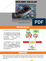 Tema 4 Metabolismo Celular