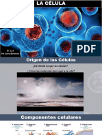Tema 1 La Célula