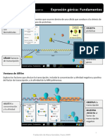 Phet Gene-Expression-Essentials-Html-Guide - Es