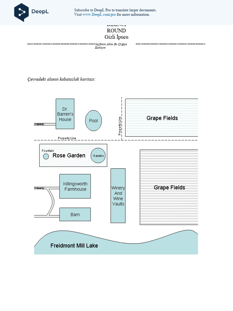Secret Clue 1 Sayfaya 2 Tane Tek Yüz TR PDF
