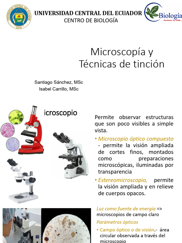 Microscopía y Técnicas de Tinción Bacteriana | PDF | Microscopio | Óptica