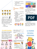 Triptico de La NEM PDF