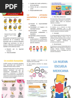 7 Ejes Articuladores de la NEM | PDF