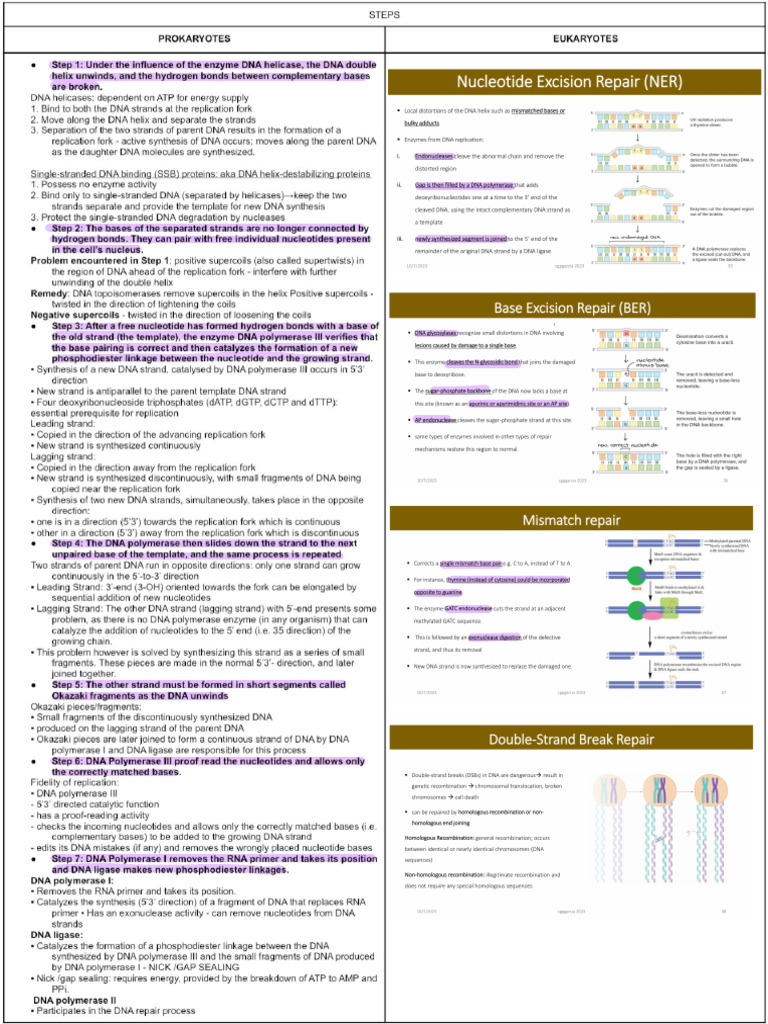 Biochem 2 | PDF