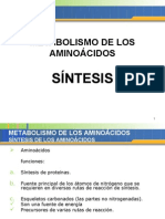 Metabolismo de Los Aminoacidos