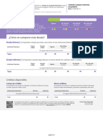 Informe Deudas PDF