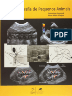 Resumo Atlas de Ultrassonografia de Pequenos Animais Marc Andrepennick Dominique Danjou