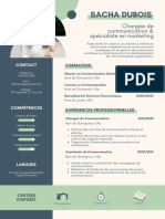 Blanc Et Pastel Sarcelle Minimaliste CV