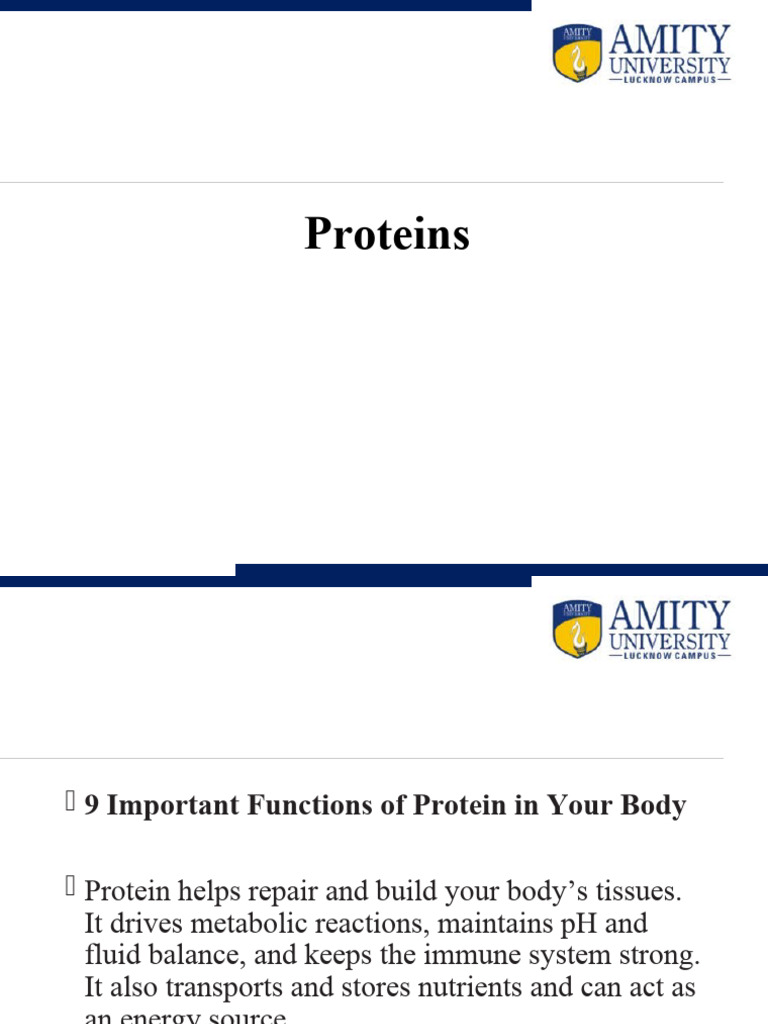 Proteins | PDF | Food Energy | Hormone