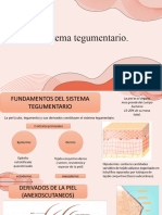 Sistema Tegumentario - 112607