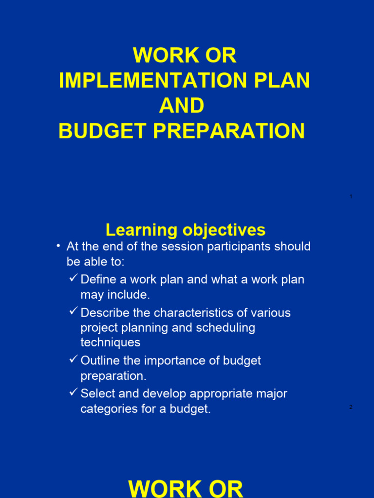07 Workplan and Budget | PDF | Budget