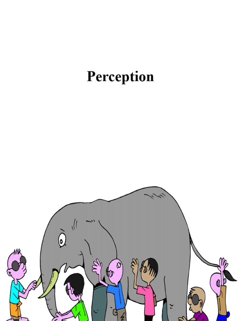 Perception and Decision-Making Guide | PDF | Perception | Decision Making