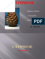 Épiphyse Cérébrale