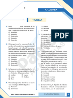 Anatomía Verano 3 Tarea