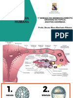 Aula 03 - Embriologia Humana - 1ºsemana GR