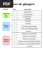 Échelle de performance OMS expliquée | PDF