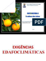 Fruticultura Aula 2 - Citros