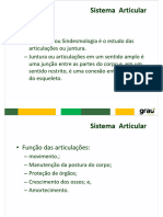 Sistema Articular e Muscular