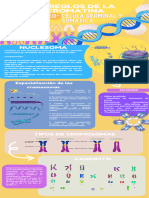 Infografia - Soi