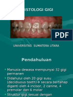 histologi gigi