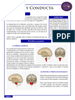 Go - Cerebro y Conducta