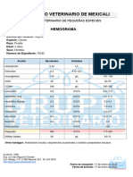 Formato de Hemograma 2212 3